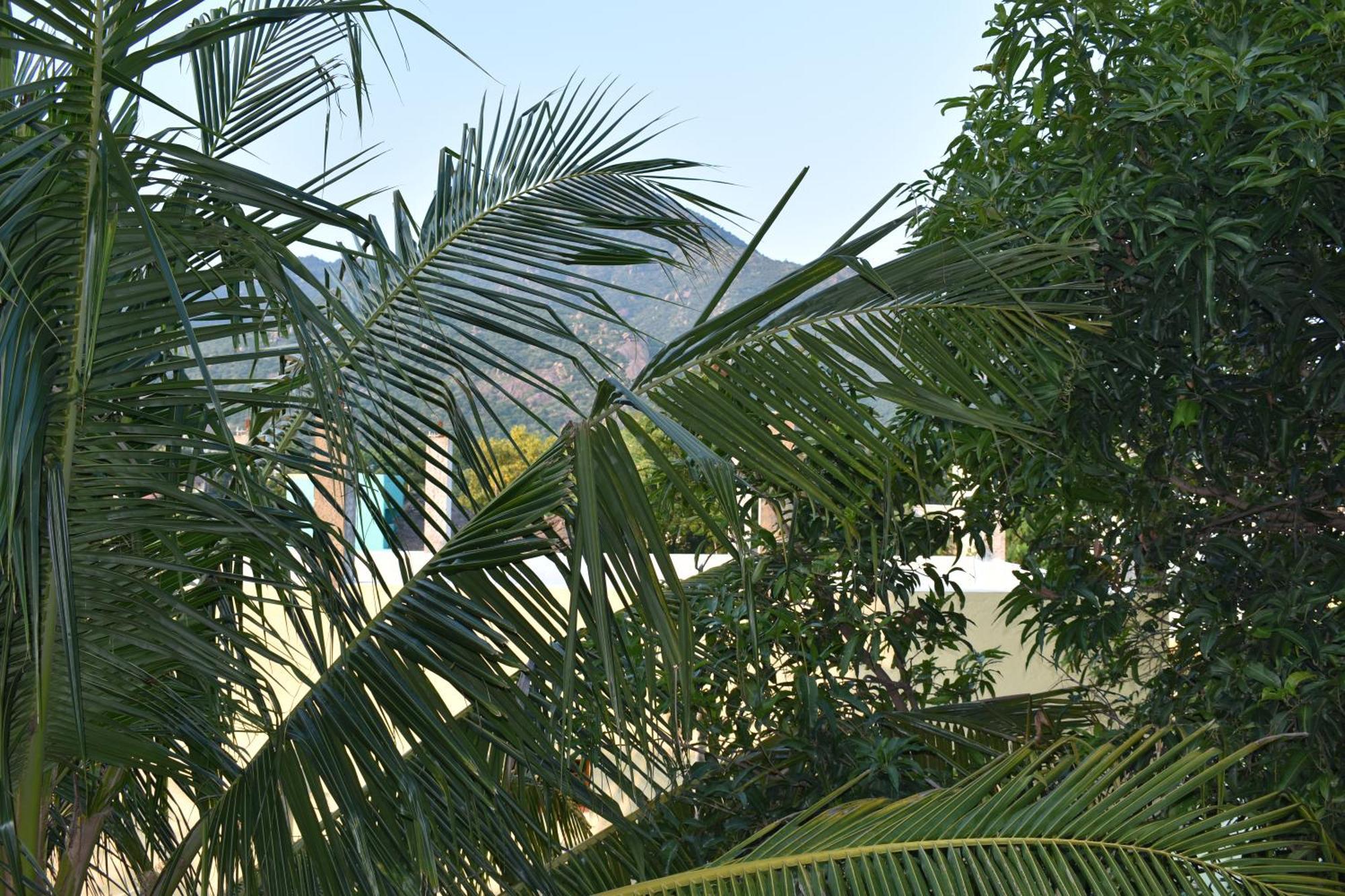 Rainbow Guest House Tiruvannāmalai エクステリア 写真