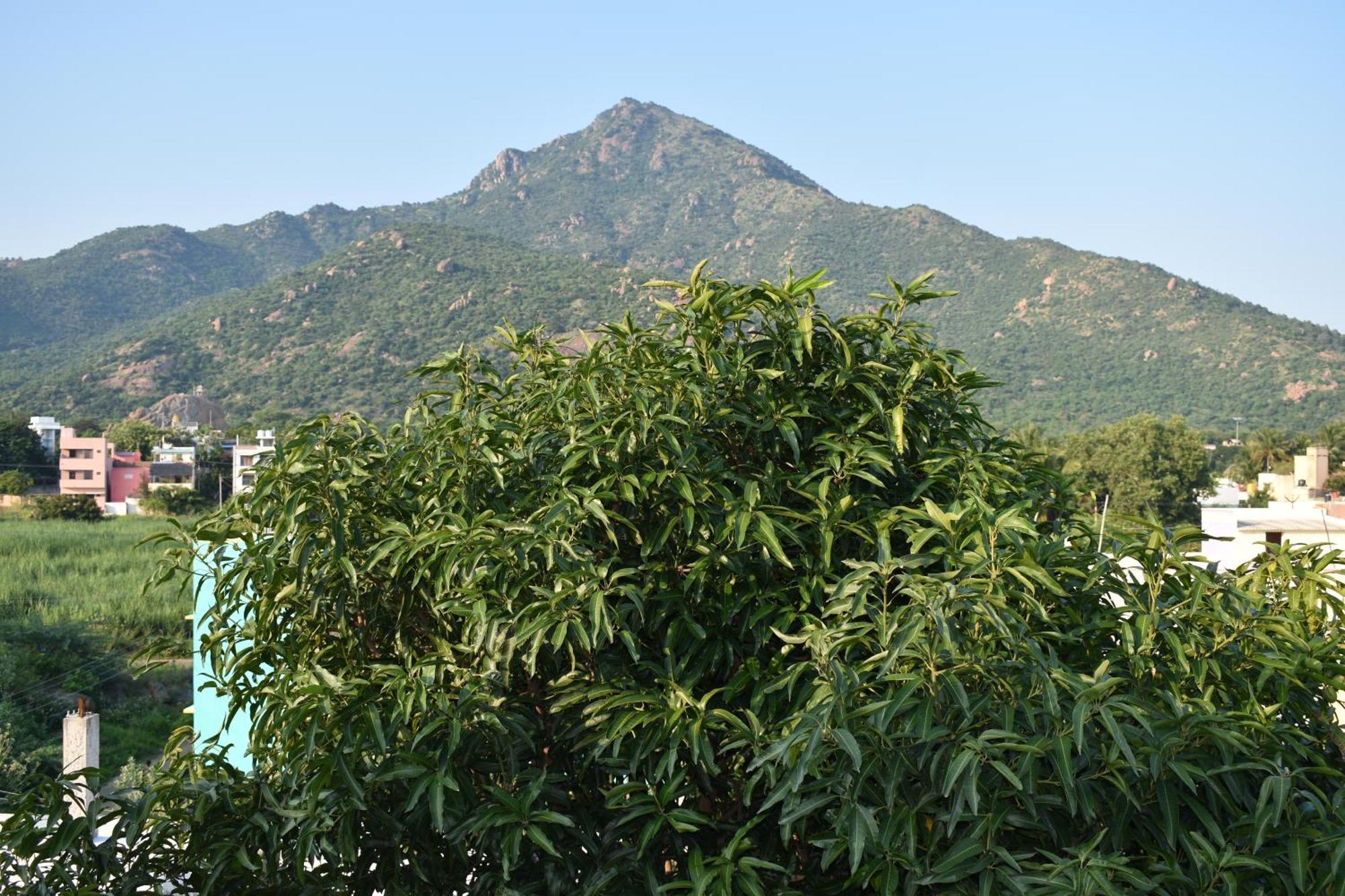 Rainbow Guest House Tiruvannāmalai エクステリア 写真